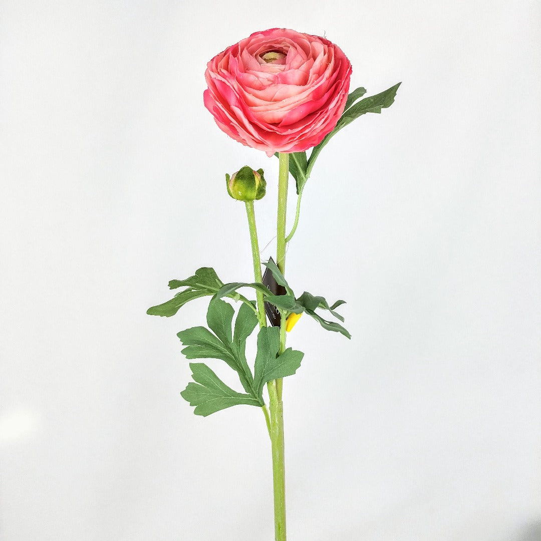 Ranuncolo Soft Touch