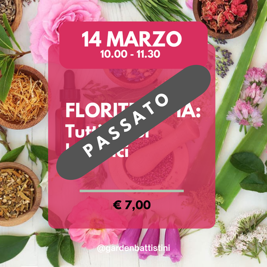 Floriterapia: Tutti i suoi Benefici