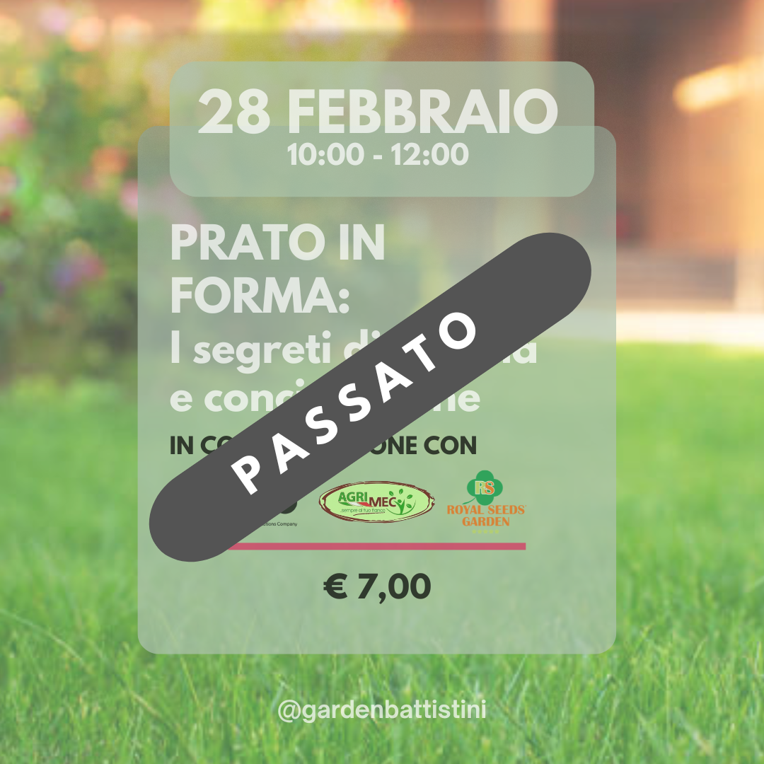 Prato in Forma: I Segreti di Semina e Concimazione
