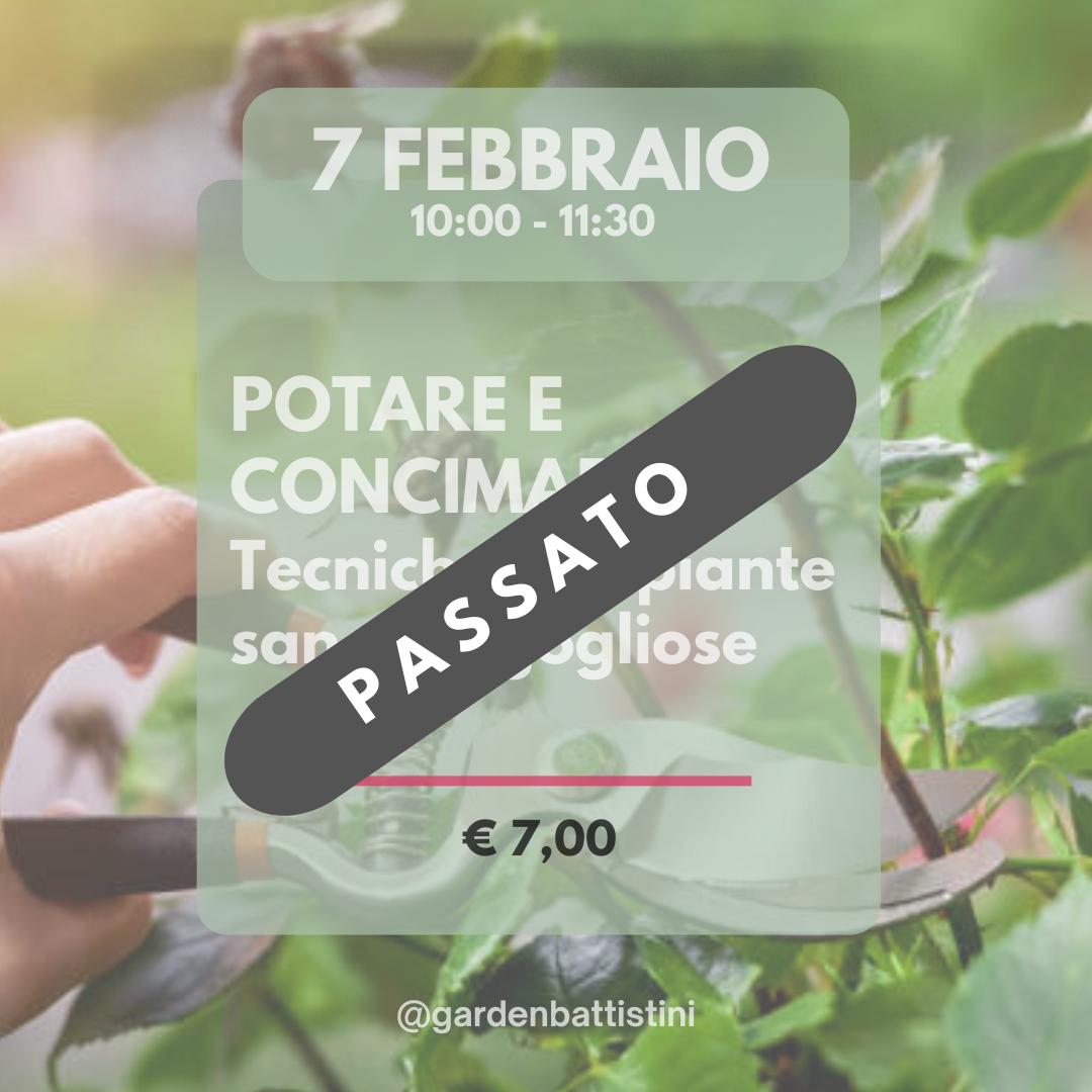 Potare e Concimare: Tecniche per Piante Sane e Rigogliose