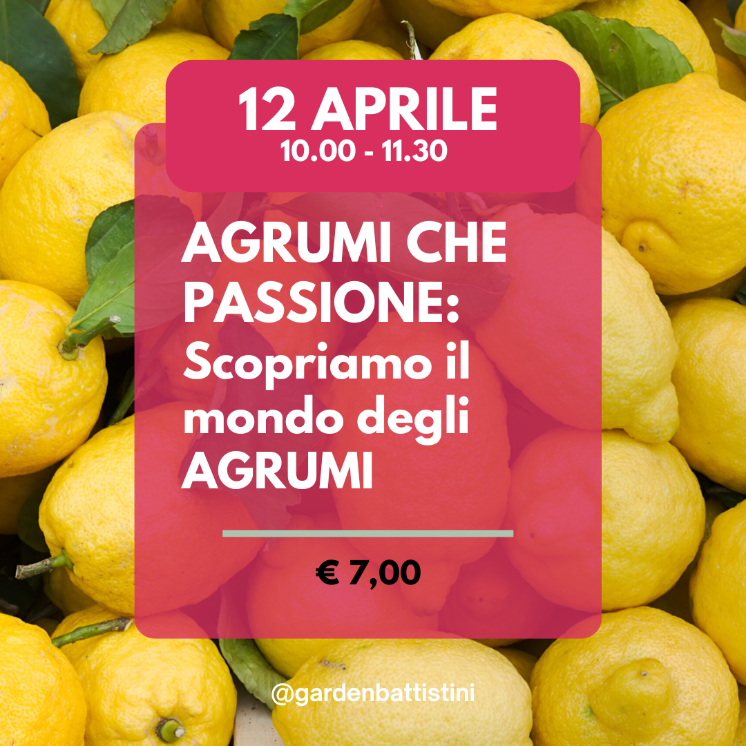 Agrumi che passione