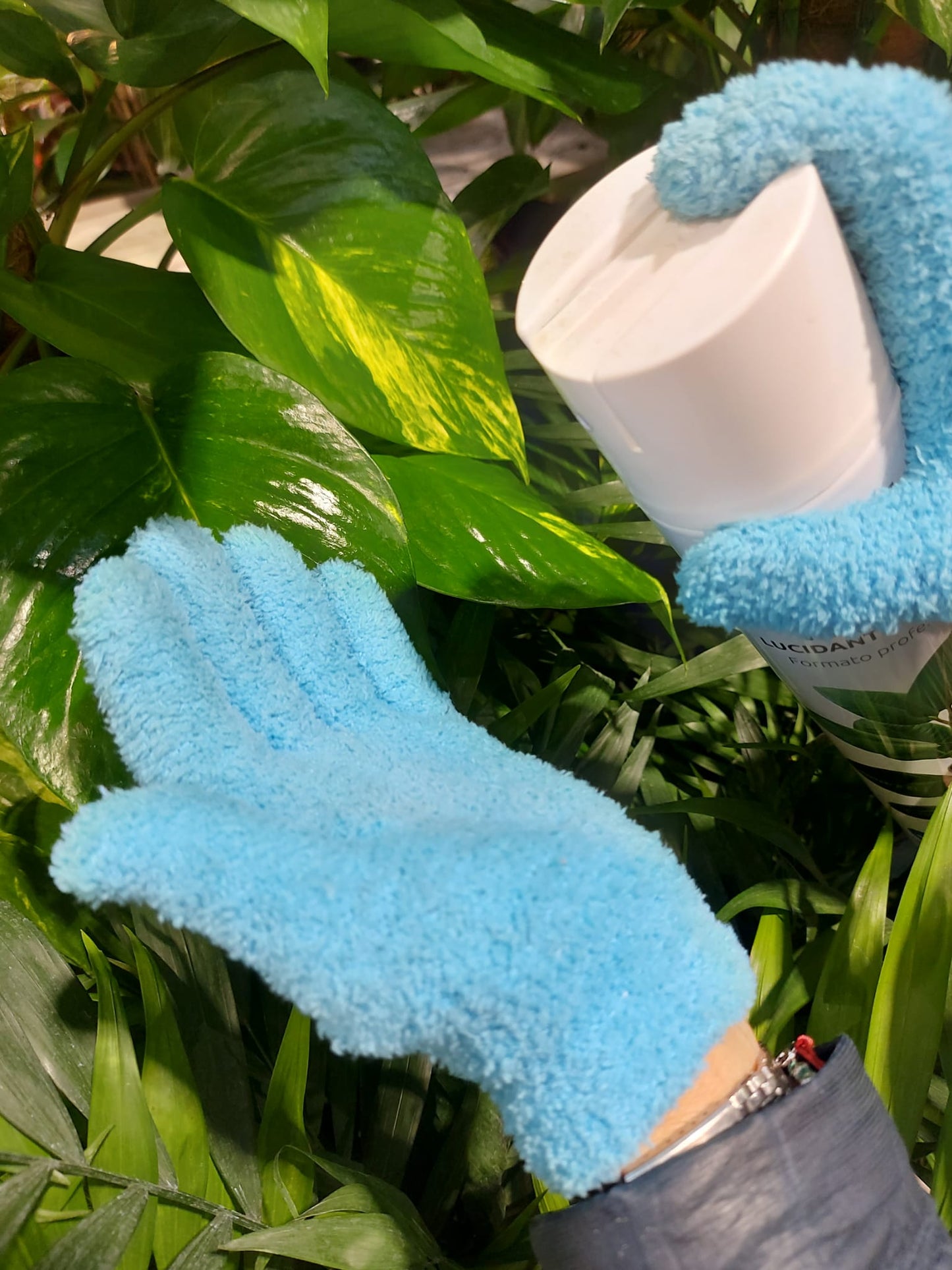 Guanto Pulisci Foglie