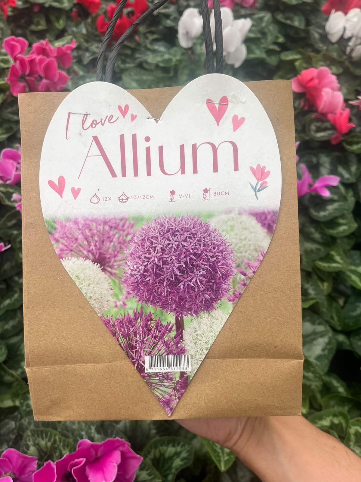 Allium Bag