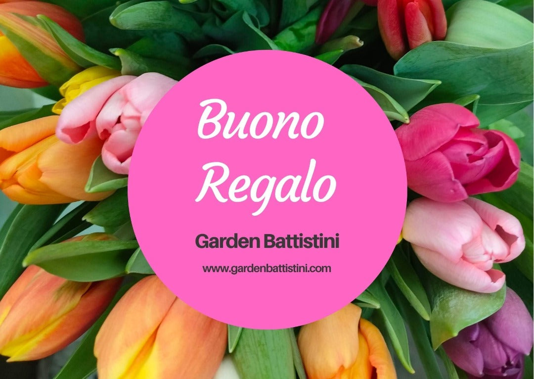 Buono regalo Garden Battistini