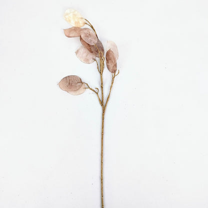 Lunaria Pearl